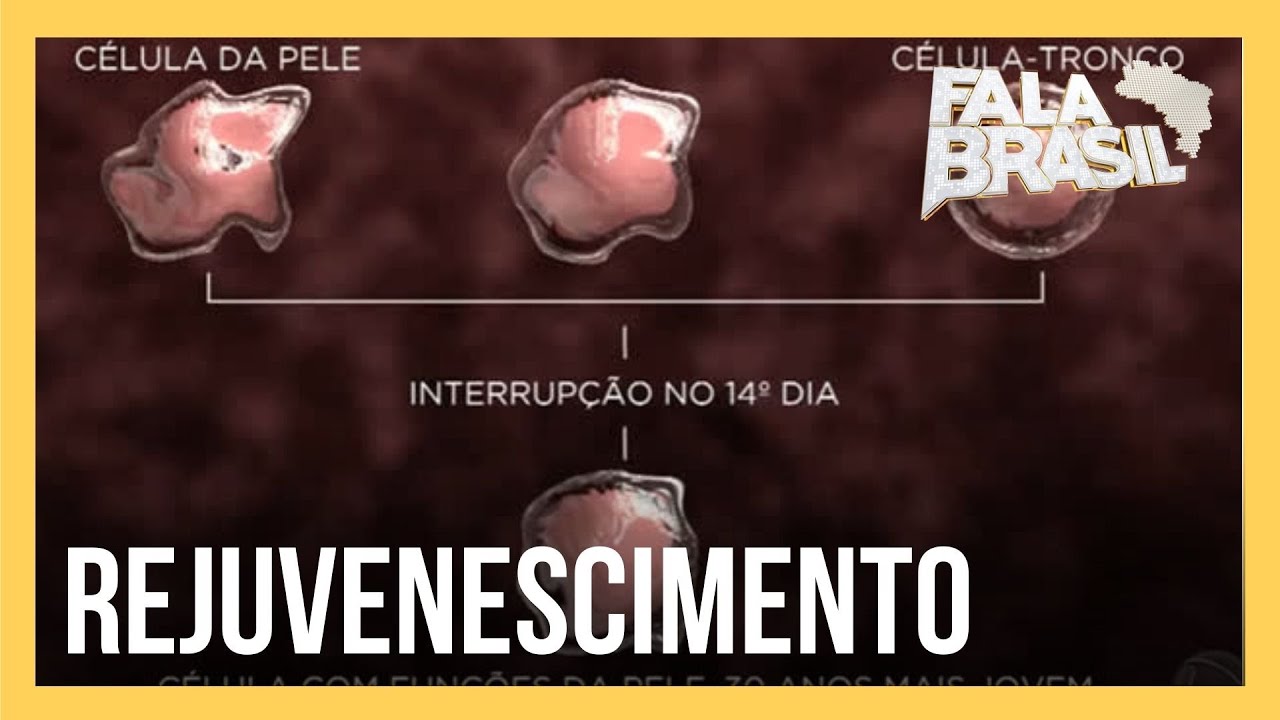 Preview Descoberta de Cientistas Siberianos: Células Imunes são a Chave para o Sucesso da FIV