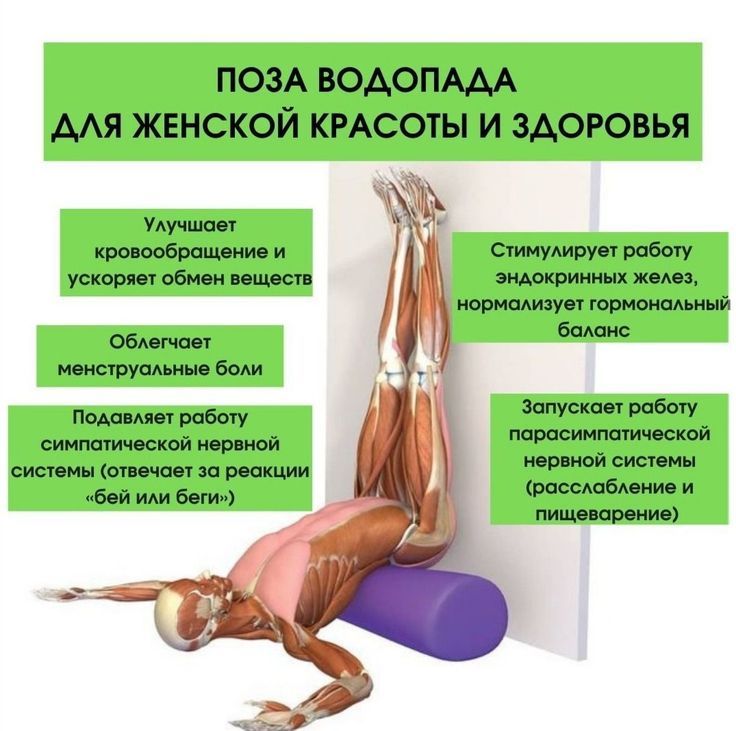 Preview Научное исследование опровергает миф об исключительной пользе йоги для сосудов