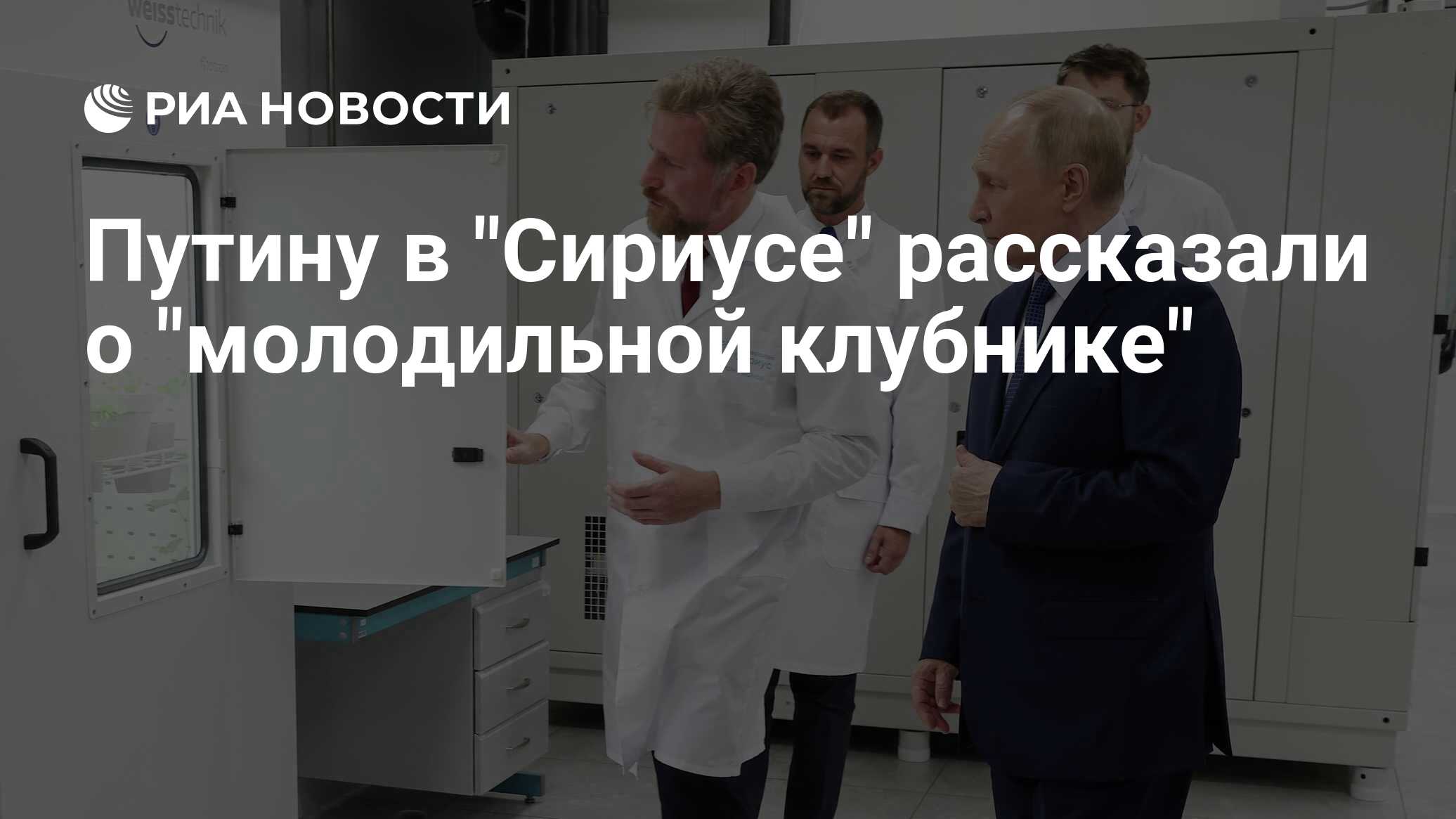 Preview Путину в Сириусе представили ‘молодильную клубнику’ и обновленный виноград ‘Мерло’