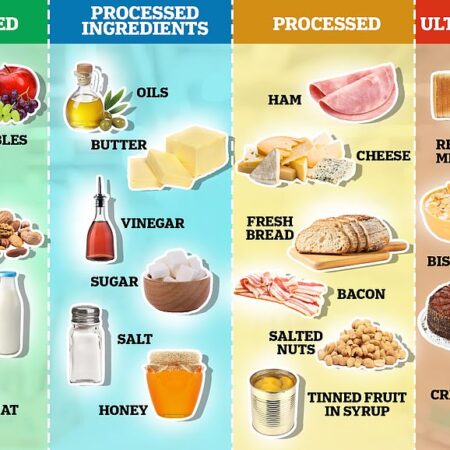 Alimentos Ultraprocessados: Uma Ameaça Inesperada à Saúde Reprodutiva Masculina