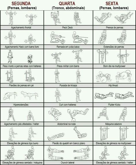 Preview Treino de Força: A Chave para uma Velhice Ativa e de Qualidade