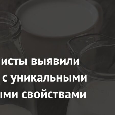 Овечье молоко: раскрытие его уникальных целебных свойств