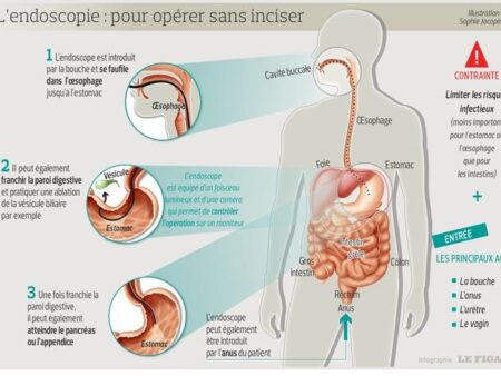 Descoberto Caminho Natural para a Recuperação do Fígado Pós-Álcool sem Medicamentos