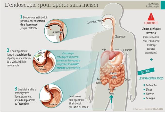 Preview Descoberto Caminho Natural para a Recuperação do Fígado Pós-Álcool sem Medicamentos