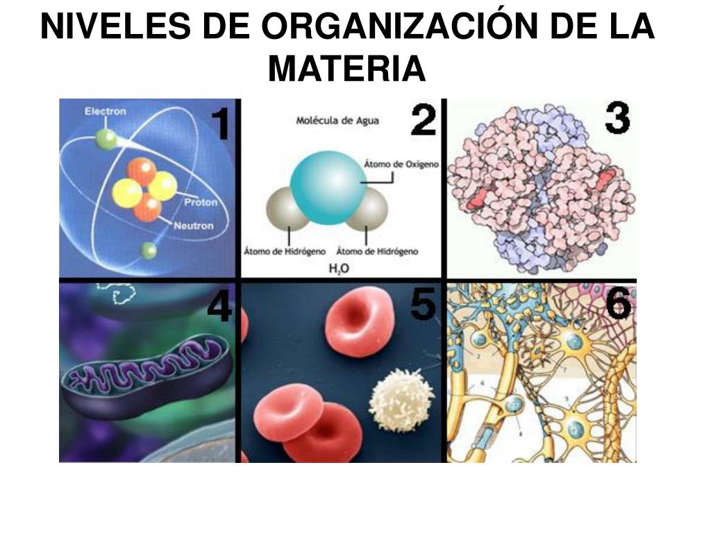 Preview Cientistas Obtêm Molécula “Impossível”, Prevista no Século Passado