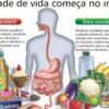Um Produto Comum Ajuda a Restaurar a Proteção Intestinal