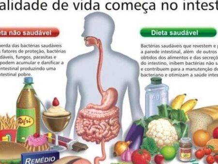 Um Produto Comum Ajuda a Restaurar a Proteção Intestinal