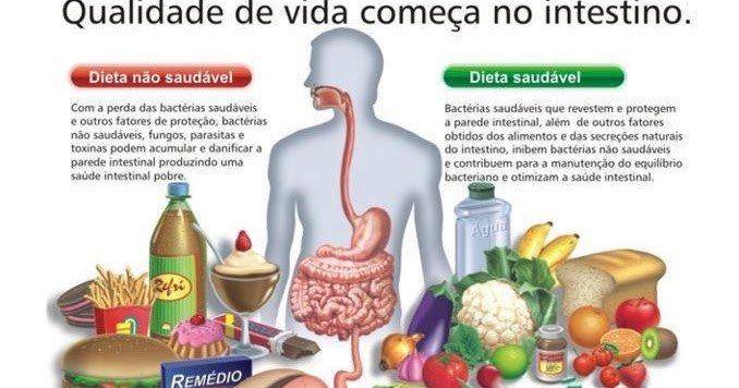 Preview Um Produto Comum Ajuda a Restaurar a Proteção Intestinal