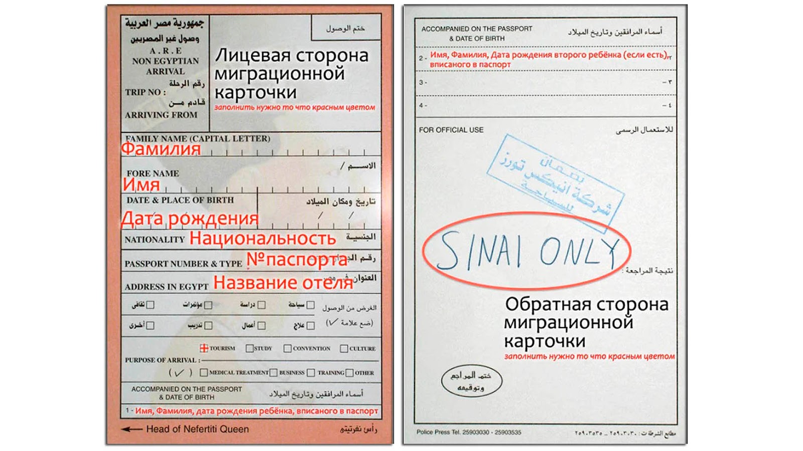 Preview Estudo Revela Método para Reduzir Risco de Infarto e AVC na Idade Madura