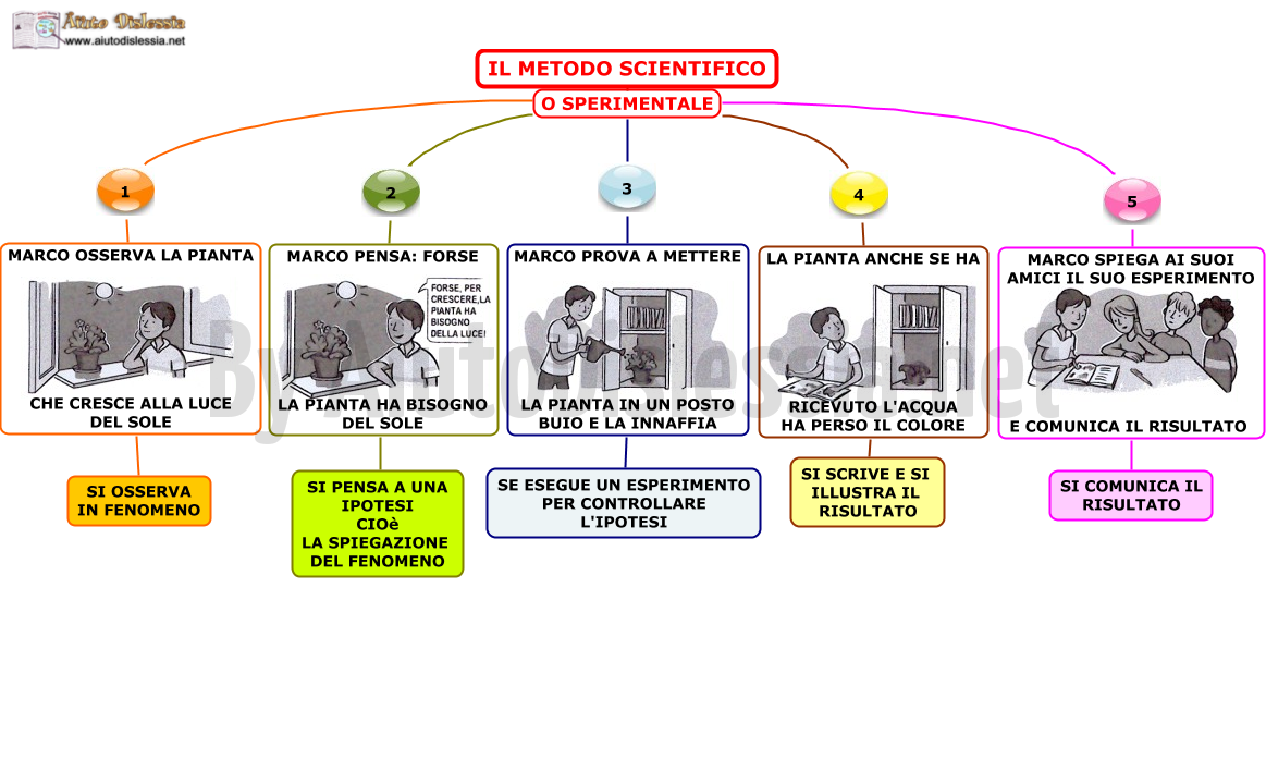 Preview Cientistas descobrem novo método eficaz contra a calvície