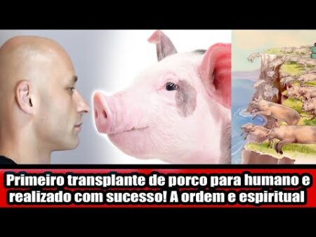 Primeiro Transplante de Rim com Tipo Sanguíneo Universal Realizado em Humano