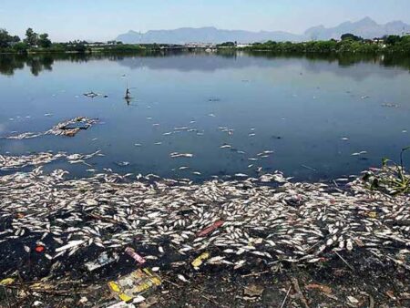 Nova causa da obesidade: poluição do ar