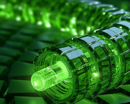 Inovação para um Futuro Sustentável