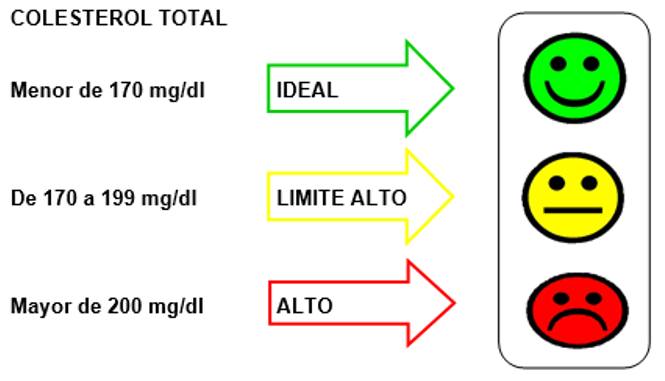 Preview O Colesterol Baixo é a Chave para uma Redução Significativa do Risco de Demência