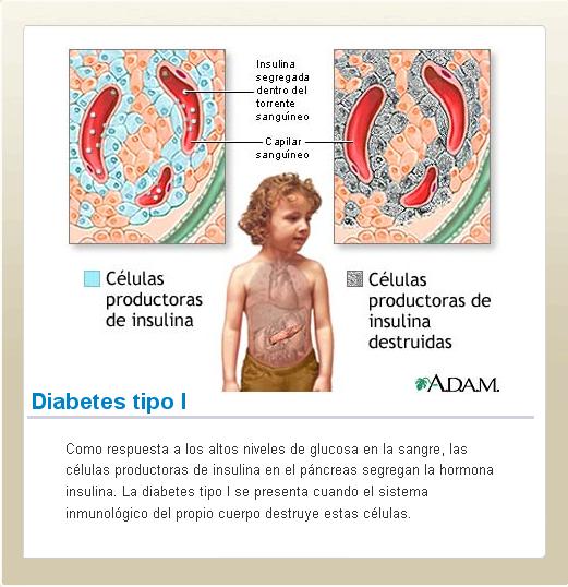 Preview Mutações em Células Sanguíneas: Uma Nova Causa de Obesidade, Diabetes e Esteatose Hepática