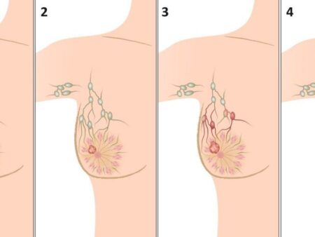 Glicosídeos Cardíacos: Uma Nova Arma Contra o Câncer de Fígado?