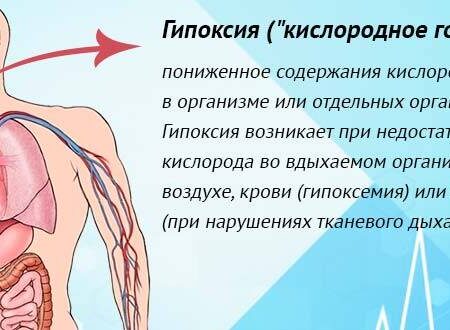 Недостаток кислорода: неочевидный враг иммунитета