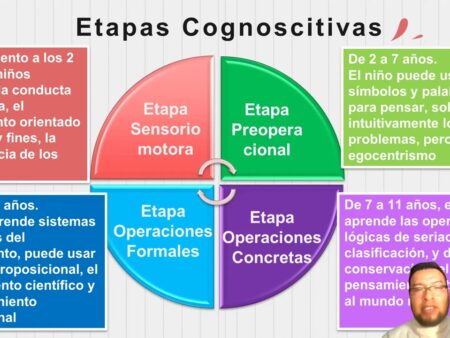Descoberta uma Forma Simples de Reduzir o Risco de Declínio Cognitivo