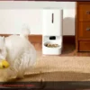 Xiaomi Lança Comedouro Inteligente 2 em 1 para Pets com IA e Câmera Integrada a um Preço Inacreditável
