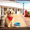 Cruzeiro Pet-Friendly de Nova York: Sua Travessia Atlântica com Cães e Gatos