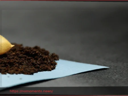 Grão-de-bico para astronautas na Lua: Pesquisa e seleção