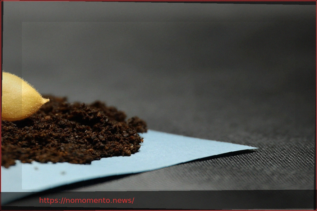 Preview Grão-de-bico para astronautas na Lua: Pesquisa e seleção