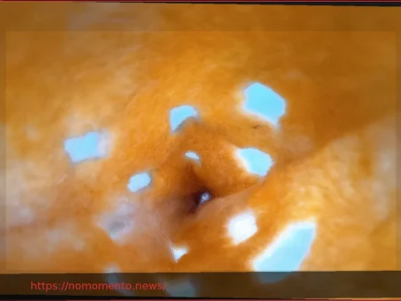 Gaudí: Texturas Orgânicas
