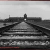 Crimes Médicos Nazistas Revelados: Banco de Dados Dá Voz às Vítimas