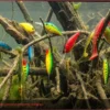 Descoberta Incrível: Árvore com 78 Iscas de Pesca Avaliadas em 600 Euros Encontrada em Rio