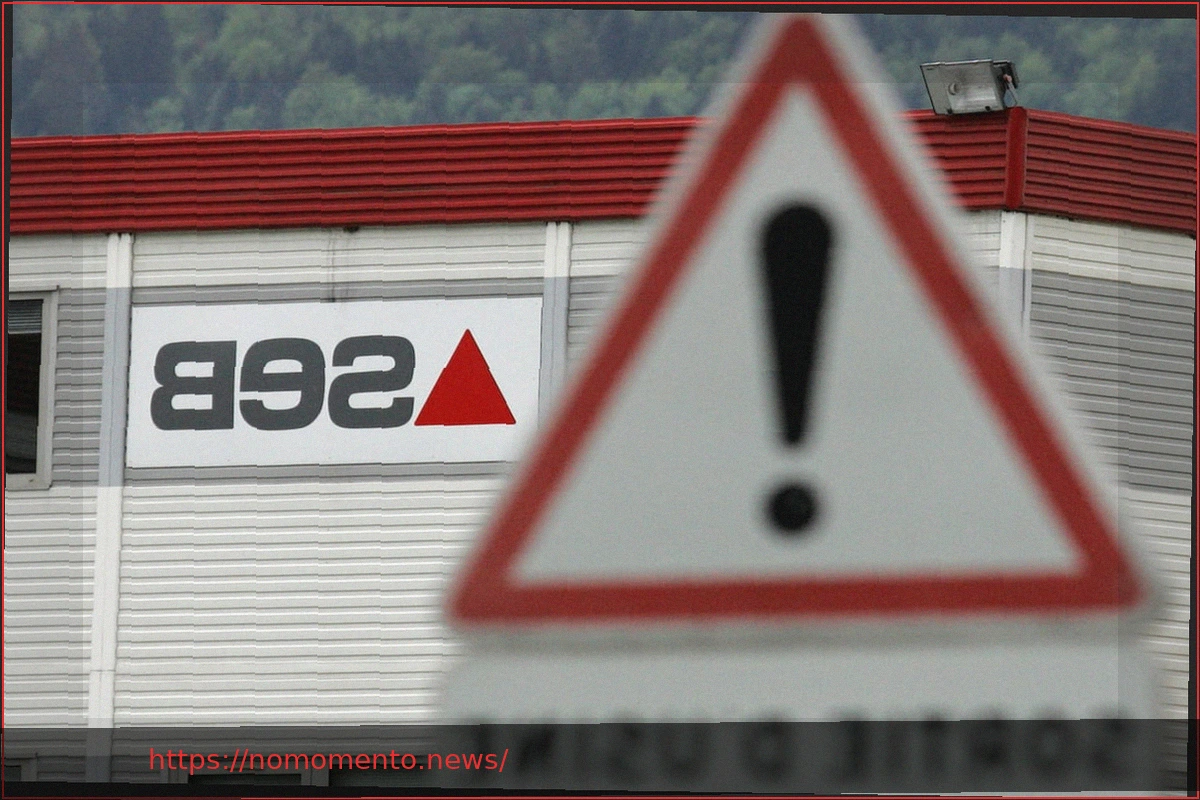 Preview Grupo SEB: Reestruturação e Desindustrialização Silenciosa na França