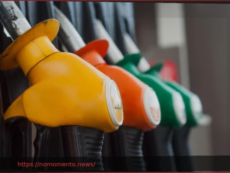 Taxes, matière première, marge… Comment se décompose le prix du carburant en France ?