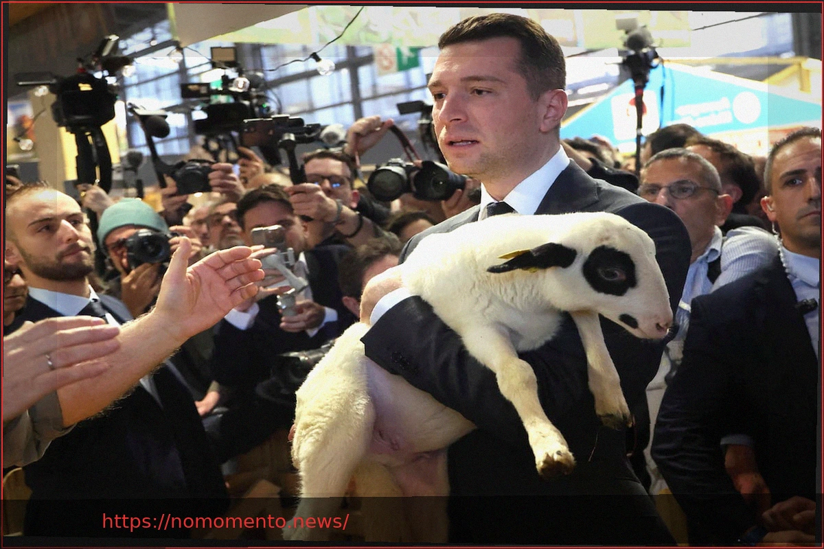 Preview Barómetro Cluster17-Le Point: Bardella Ainda na Frente, Lecornu à Espreita