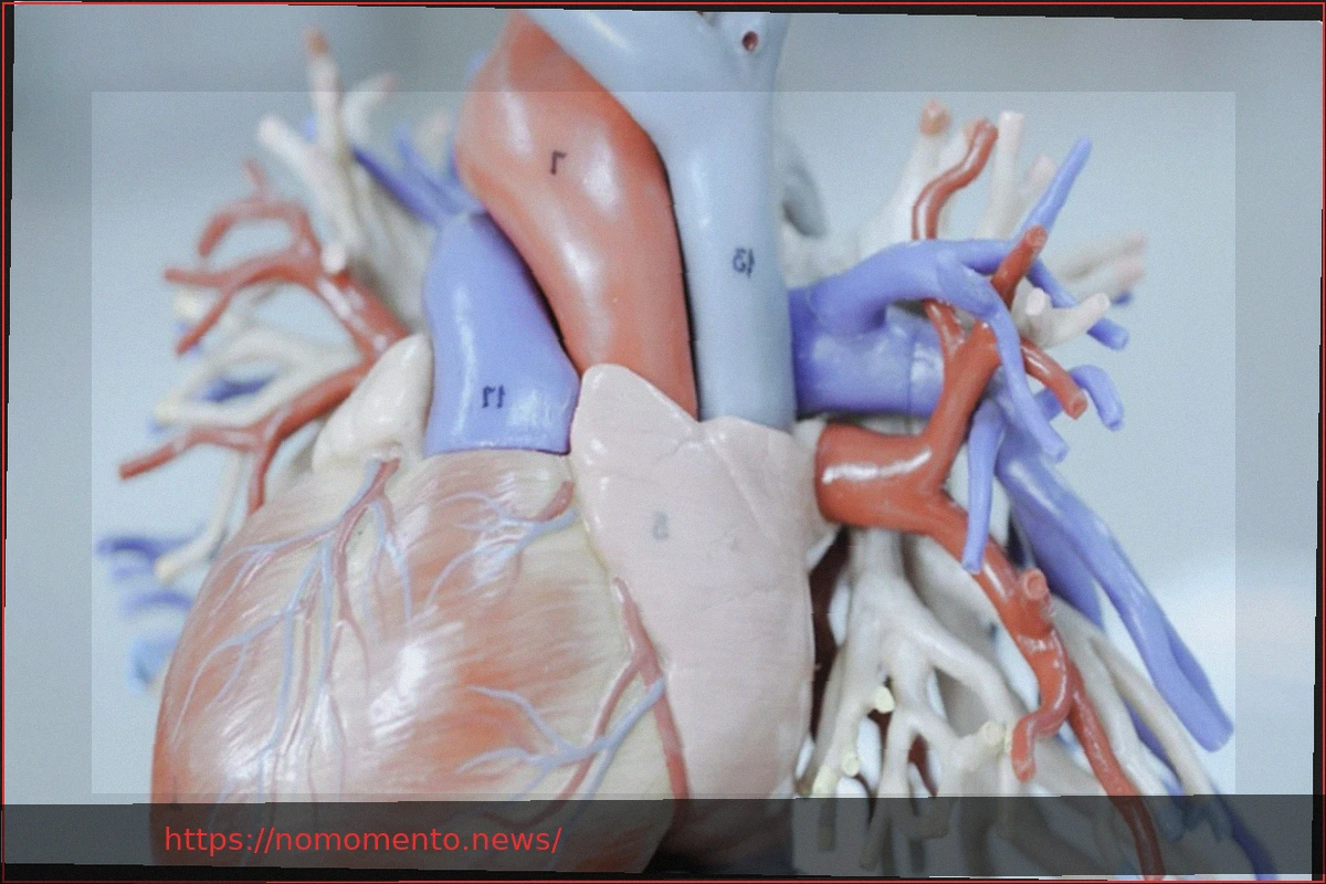 Preview Cardiopatias: Defeitos Estruturais do Coração