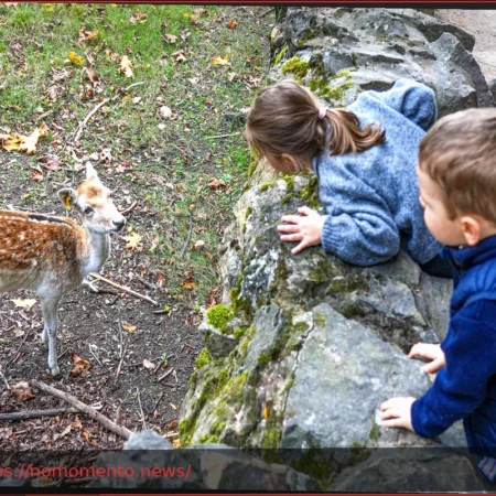 Jean-Michel Aulas propõe uma transformação radical para um zoológico de Lyon: hologramas no lugar dos animais
