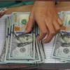 O Dólar se Fortalece em Meio ao Conflito no Oriente Médio