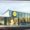 Mosquiteiro Magnético da Lidl: Proteção Essencial e Acessível para o Verão