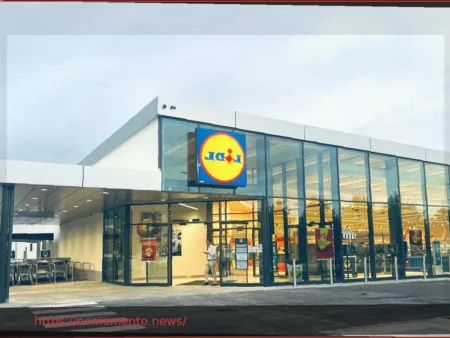 Mosquiteiro Magnético da Lidl: Proteção Essencial e Acessível para o Verão