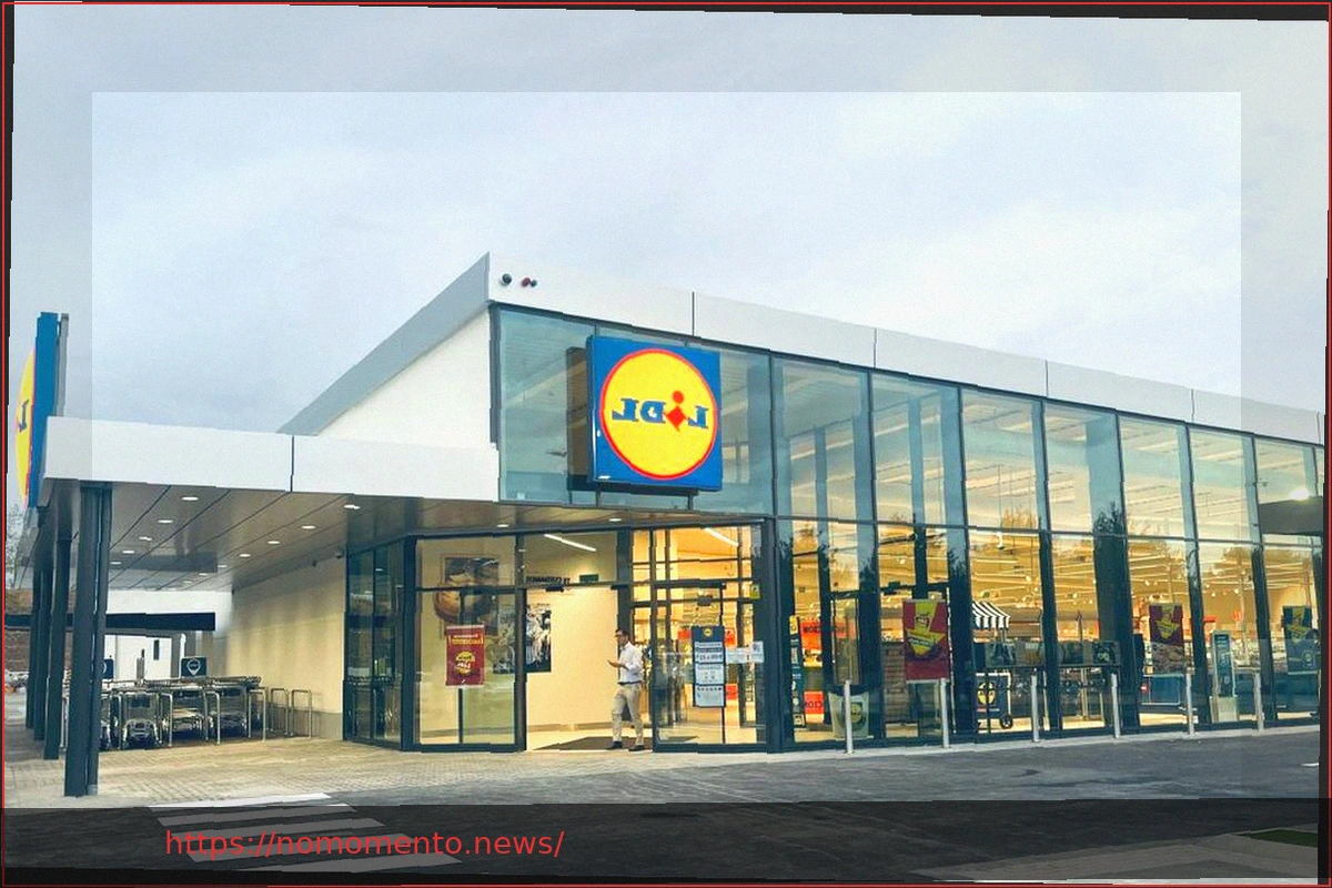 Preview Mosquiteiro Magnético da Lidl: Proteção Essencial e Acessível para o Verão
